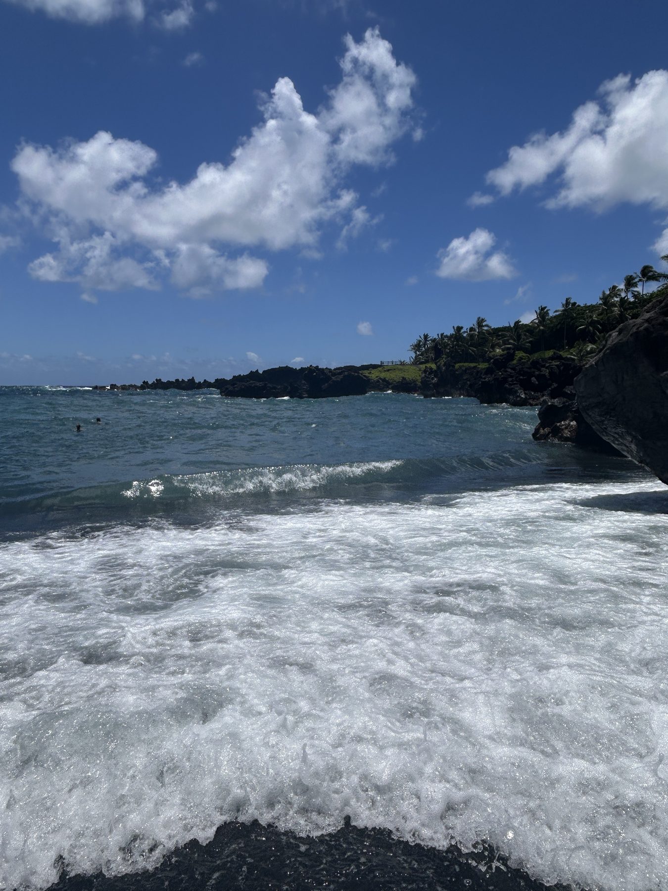 Summer 2026 — photo 9 of 14